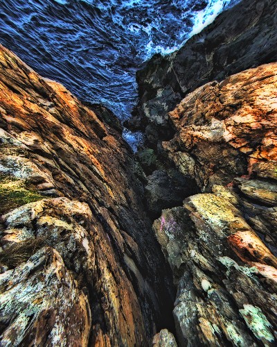 Rocky Shore - Marblehead, MA